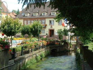 Fleurissement estival, Ville de Niederbronn-les-Bains